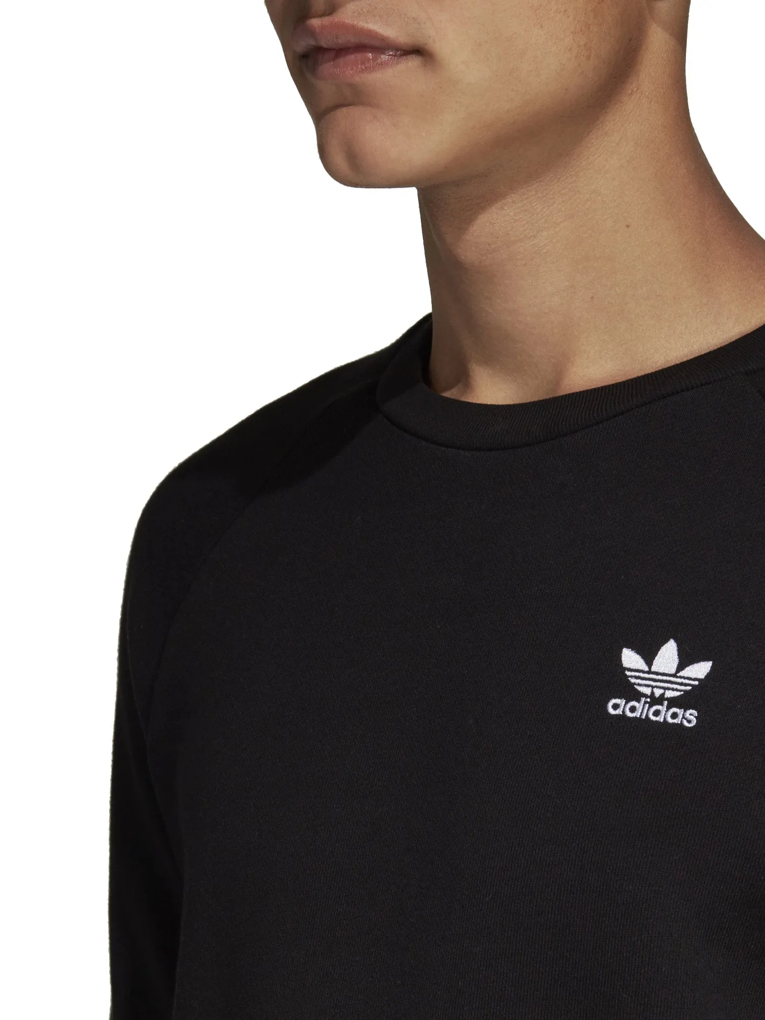 Adidas Originals Sweatshirts DV1600