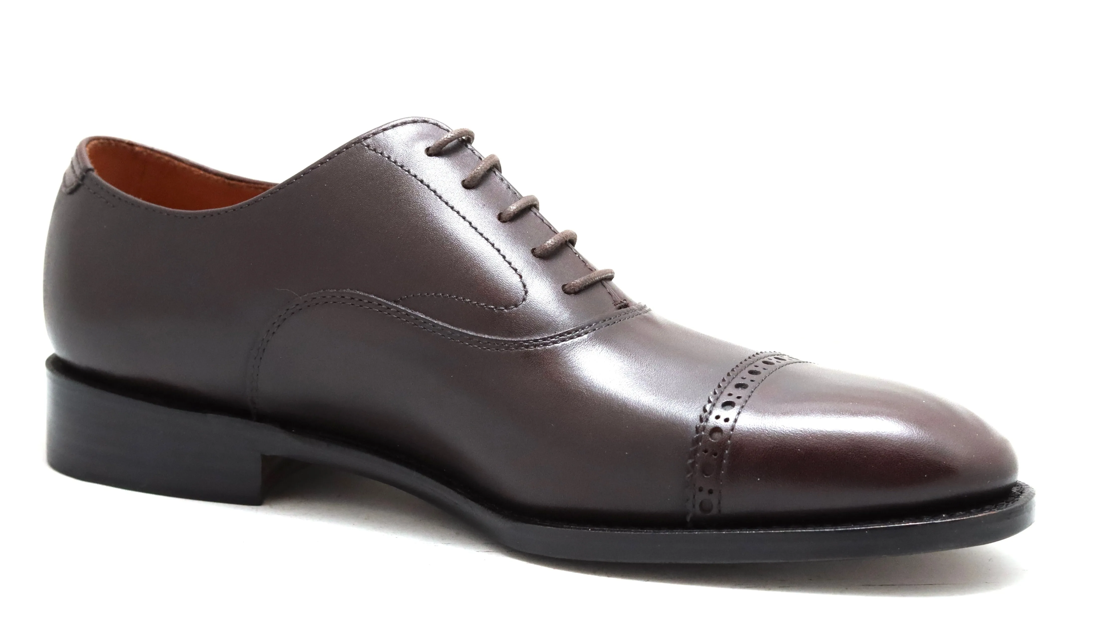 oxford toecap brogue |  dark brown  | Calf