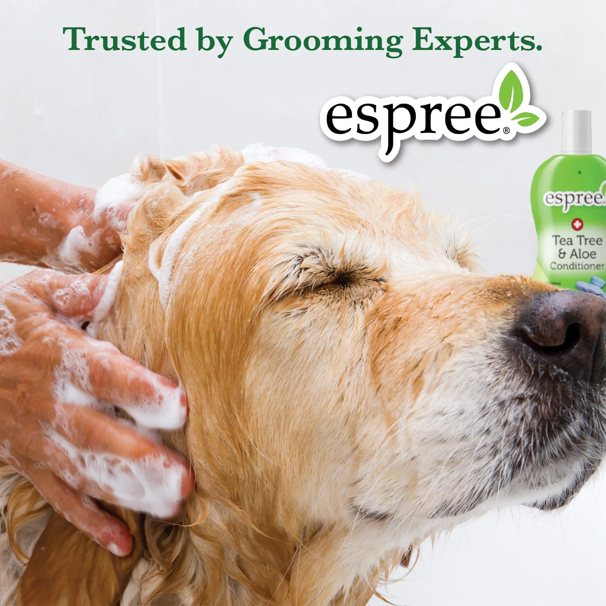 Espree Bright White Shampoo For Dogs & Cats 20 Ounce