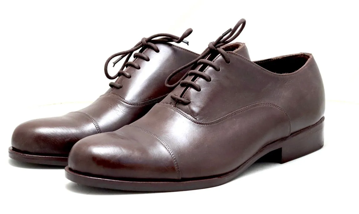 Toe cap oxford |  dark brown  | Calf