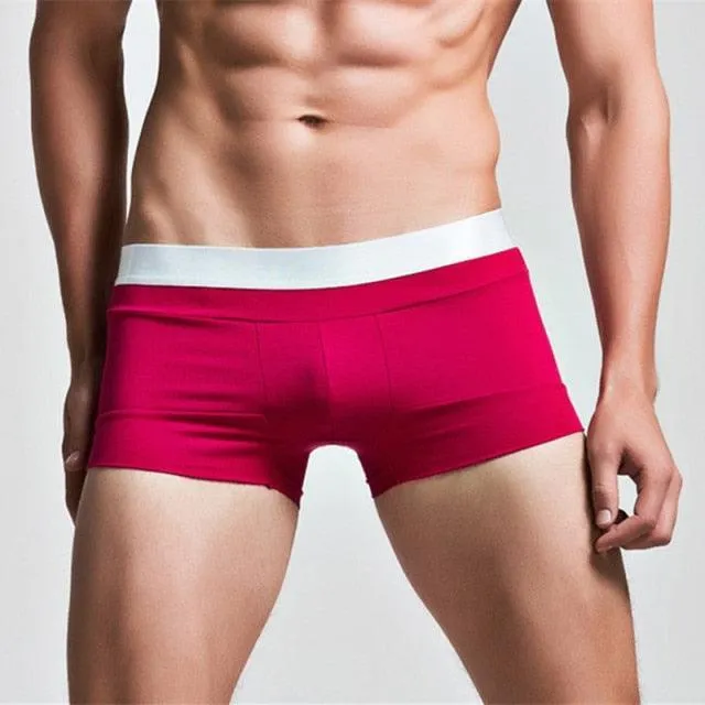 U Convex Underwear Shorts Boxer